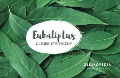 Olejek eukaliptusowy